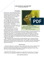 Mycobacteriosis PDF