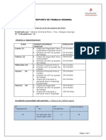 Formato de Informe Semanal