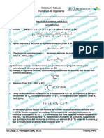 PRACTICA - DOMICILIARIA - No 1 - AVANZ PDF
