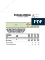 Resumen Avance General PDF