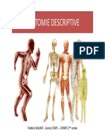 Poly ANATOMIE DESCRIPTIVE