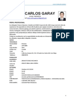 CV - Juan C Garay H