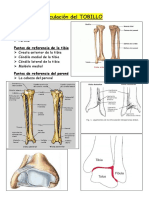 Articulación del tobillo: Huesos, ligamentos y movimientos