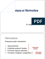 Hemostaza PDF