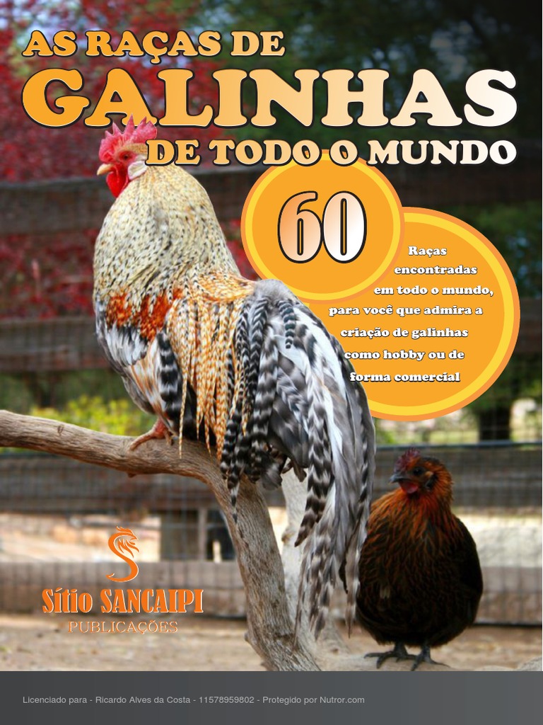 60 Ra as De Galinhas Pelo Mundo PDF Aves Pena p ssaro 