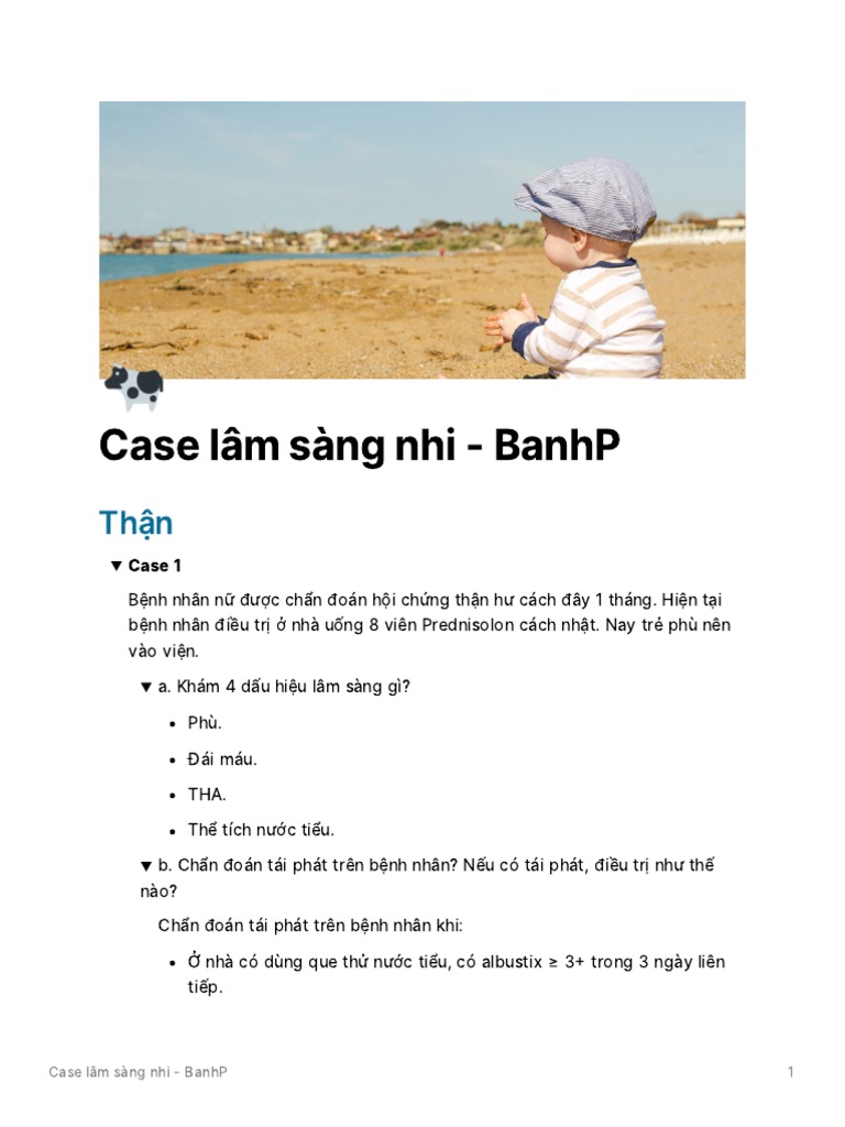Case LS NHI - BP | PDF