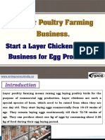 Layer Poultry Farming Business-965608 PDF