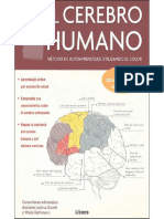 El Cerebro Humano PDF