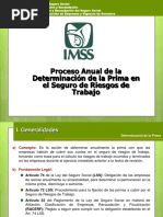 Cedula PRT PDF | PDF