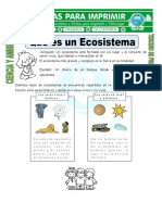 Ficha-de-Que-es-un-Ecosistema-para-Tercero-de-Primaria.doc
