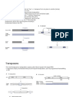 DNA Elements That Can "Hop