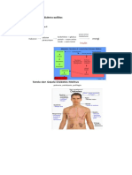 Modul 2 Lapran