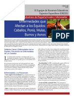 Diseases That Affect Horses Spanish PDF