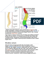 Tulang Rusuk