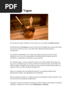 Vahos terapéuticos en casa: guía práctica | PDF