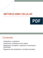 243912551-UNIDAD-TEMATICA-Metabolismo-celular-pdf.pdf