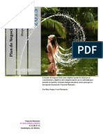 11240642_635069460211977272_Plan_de_Negocios_Proyecto_Diamante.pdf