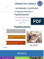 Papilomatosis bovina: causas, síntomas y tratamientos