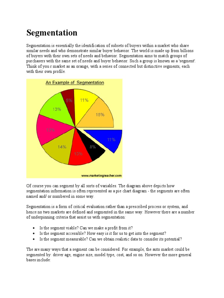 Market Segmentation Strategies Explained | PDF | Supply Chain ...