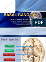 BASAL GANGLIA Condensed PDF