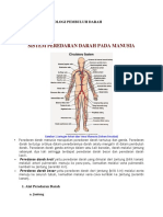 Anatomi Dan Fisiologi Pembuluh Darah