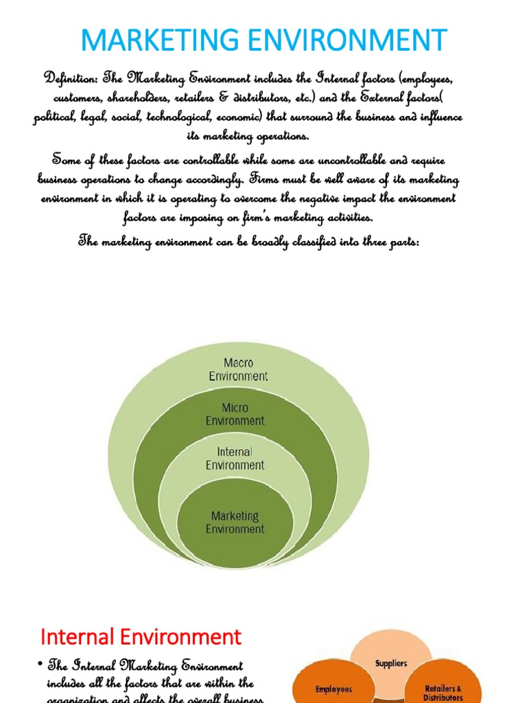 Marketing Environment Insights | PDF | Supply Chain | Marketing
