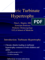 Pediatric Turbinate Hypertrophy NShapiro 4-22-09