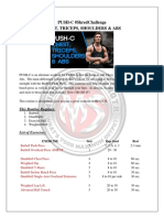 2016 03 16 Push C Chest Triceps Shoulders Abs PDF