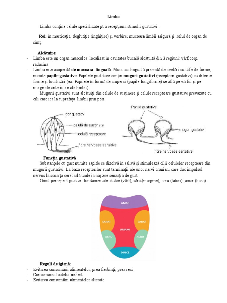Limba | PDF