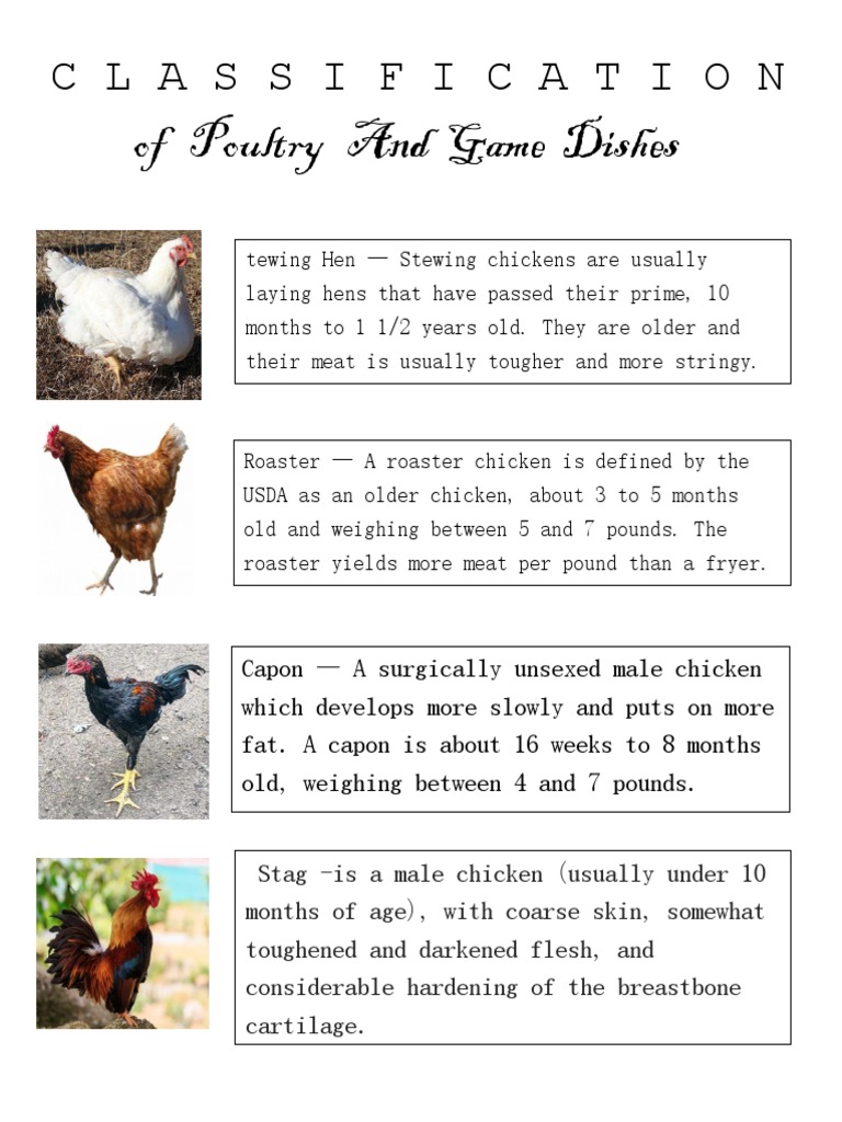 Poultry and Game Classification Guide | PDF