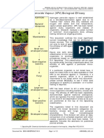 Bioquell - BDS-3-bioefficacy-v5.0 PDF