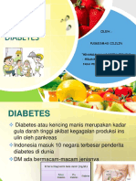 Prolanis PPT Diet DM