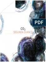 Co2 Second Chance Manual em Portugues 111705