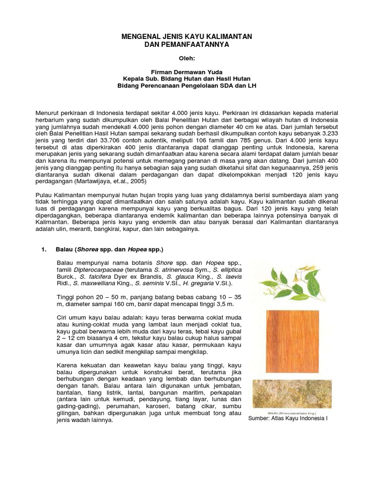 Jenis dan Manfaat Kayu Kalimantan | PDF | Griya & Taman