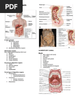 Digestive System