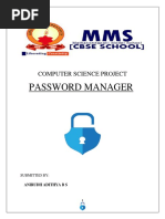 Password Manager File