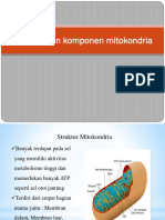 Struktur_dan_Fungsi_Mitokondria