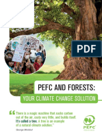 PEFC & Forests: Your Climate Change Solution