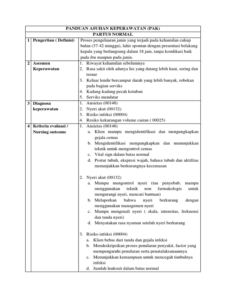 Panduan Keperawatan Partus Normal | PDF