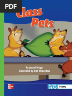 4.class Pets