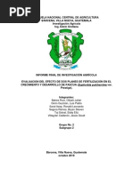 EVALUACIÓN DEL EFECTO DE DOS PLANES DE FERTILIZACIÓN EN EL CRECIMIENTO Y DESARROLLO FE PASCUA (Euphorbia Pulcherrima Var. Prestige) .