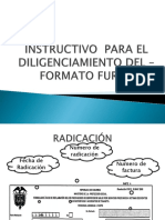 Instructivo Formato Furips.