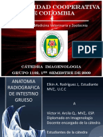 Anatomia Radiografica de Intestino Grueso