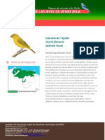 Sicalis Flaveola PDF