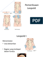 Optimized Title for Leopold Examination Document