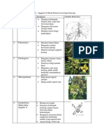 Anggrek, Paku Epifit PDF