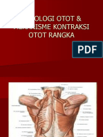 Mekanisme Kontraksi Otot Rangka