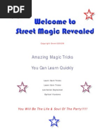 Download David Blaine - Street Magic Revealed by 24h3r SN44222995 doc pdf