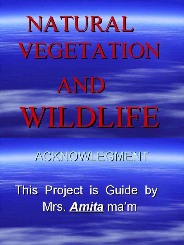 Natural Vegetation Pdf Forests Grassland