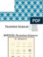 Plasmodium Falciparum